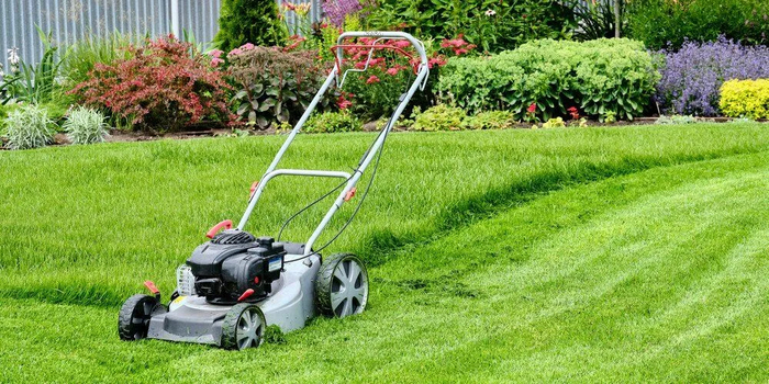 -12   Husqvarna 2024 :    , , ,  , , , 