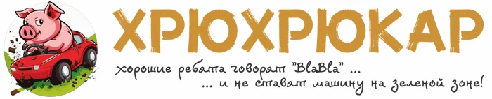 ХрюХрюКар: как перестать беспокоиться, начать создавать сервисы и обзавестись друзьями - Моё, Познавательно, IT, Timeweb, Урбанизм, Разработка, Авто, Парковка, Тестирование, Техника, Гаджеты, Водитель, Видео, YouTube, Длиннопост