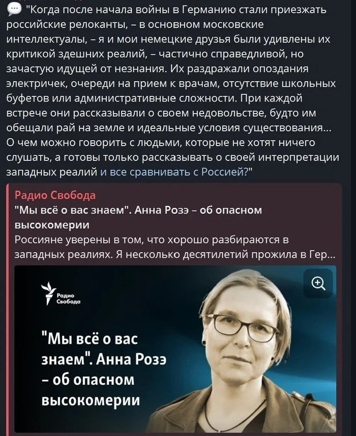 Это критика не кого надо критика - Скриншот, Политика, Иностранные агенты, Германия, Россия, Релокация