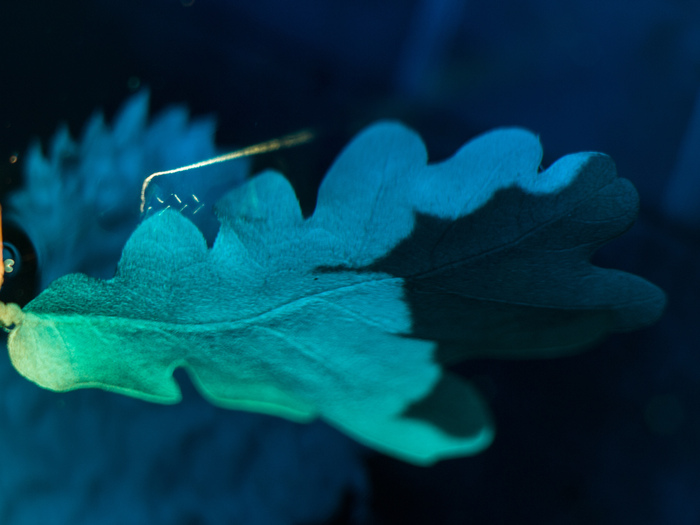 Светлое – участки уже покрытые медью, черное – графит.