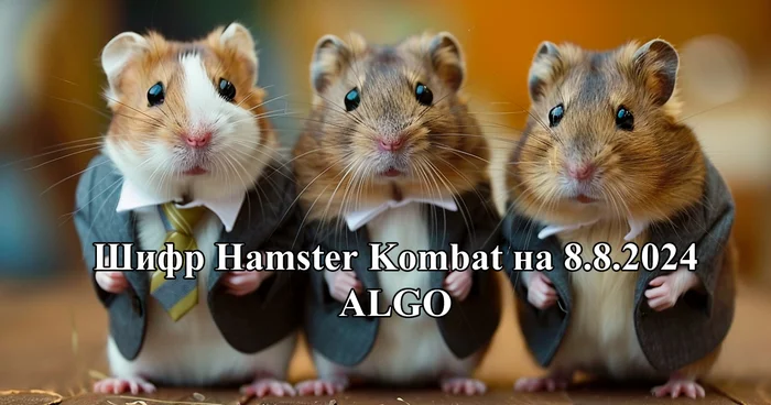 Шифр Морзе на Хомяка Hamster Kombat на 7 августа - Хомяк, Hamster Kombat, Шифр, Морзе, Гайд, Инструкция, Чат-Бот, Игры