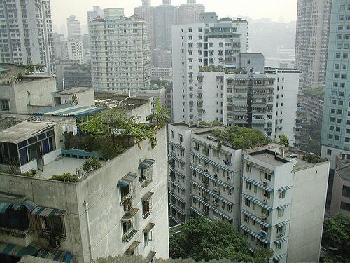 Chongqing jungle cityscape - The photo, China, Urban environment