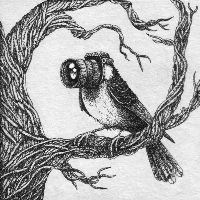 Selfie bird (graphics) - My, Pointillism, Artist, I'm an artist - that's how I see it, Graphics, Drawing, Pen drawing, Surrealism