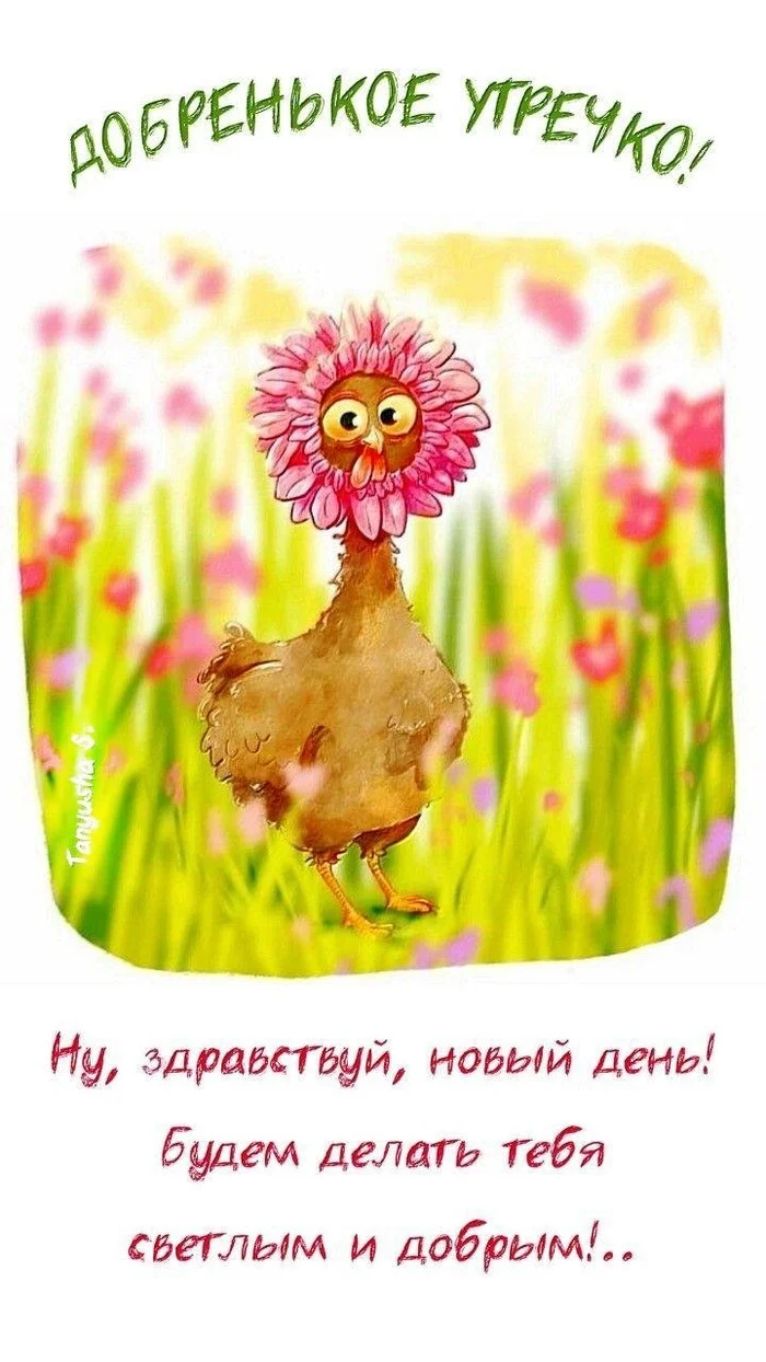 Good morning! - Good morning, Postcard, Humor