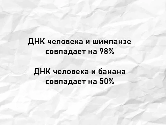 Как вам такое? #1 - Человек, Факты, Банан