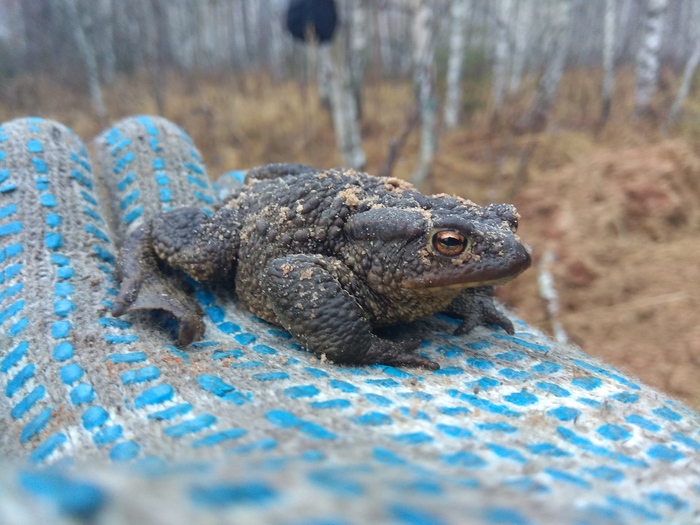 Присоединюсь к Дню Среды!