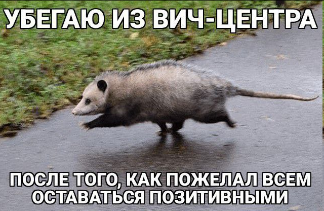 Humor - Humor, Hiv, Picture with text, Black humor, Opossum