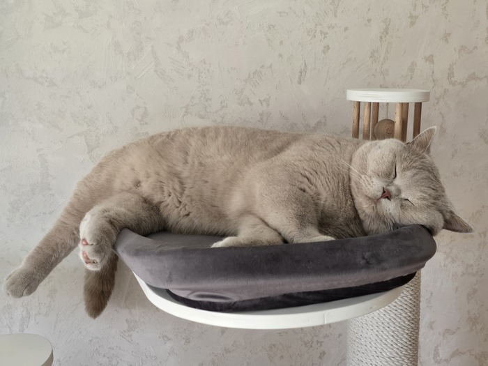 ����� �����...