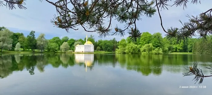 Зачем проверяться на витамины? - Моё, Грусть, Витамин Д, Терапевт, Медицинские анализы