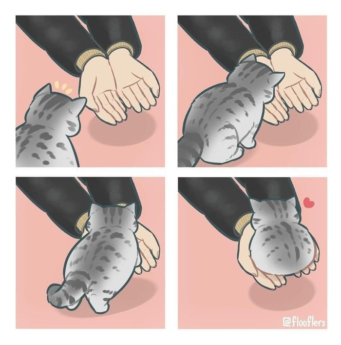   , , , 