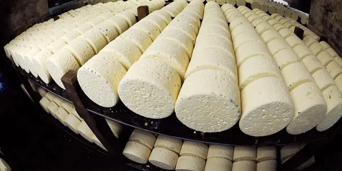 Adyghe cheese will be sold in an edible shell, increasing shelf life - Ecology, Scientists, Research, The science, Garbage, Cheese, Adyghe cheese, Republic of Adygea