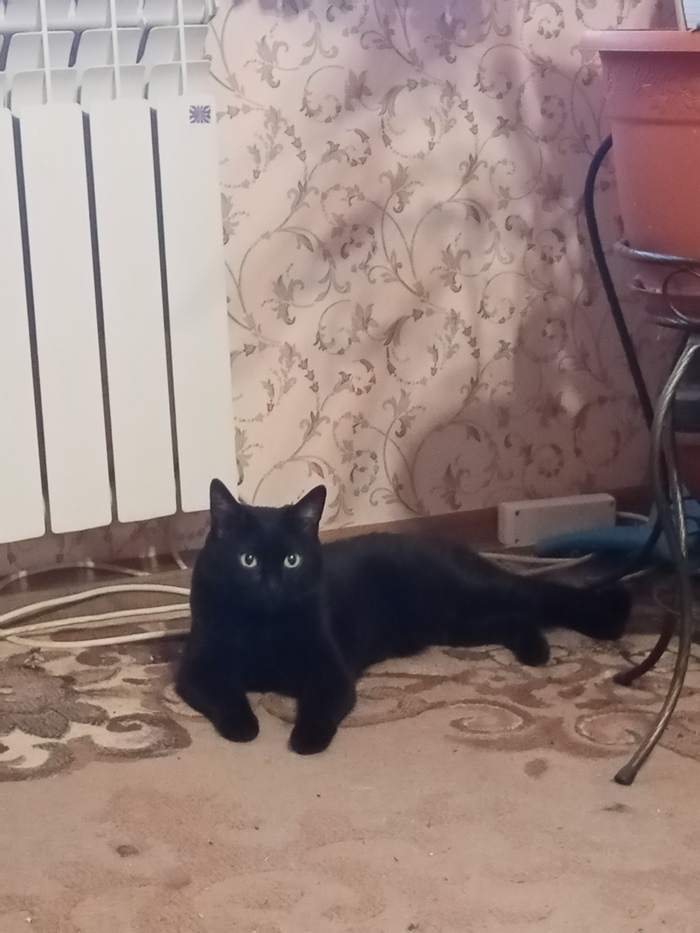 ����� �� ���� ��� �� ��������� ����, � ��� �������� ����...�