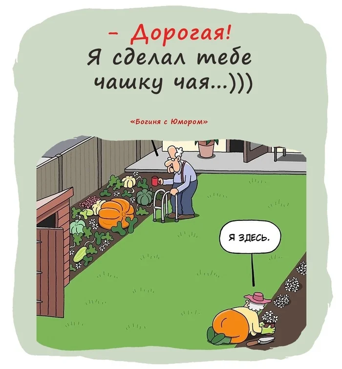 Here is one of the country poses - crawled out in the morning, crawled in at night...))) - Humor, Picture with text, Dacha, Repeat