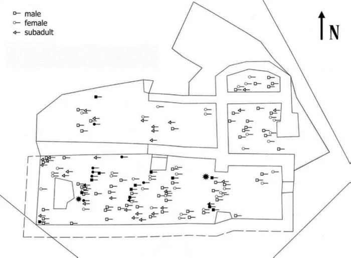Archeology of terror. Chepino massacre of the 15th century - My, Archeology, Hungary, Turkey, Croatia, Military history, Middle Ages, Longpost, Series Psychology and the face of war