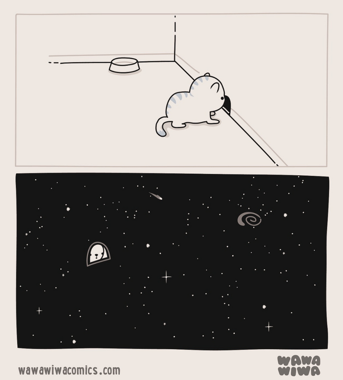 Так вот на что они смотрят!