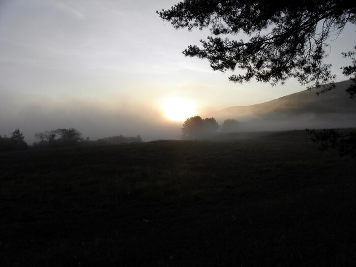 Утро, на следующий день