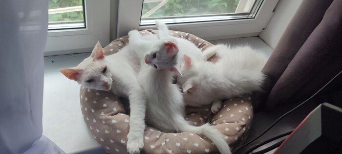 ��������� � �����. � �����, �����, ���� � ����������� 