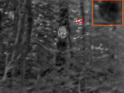 Did you know what a hornets nest looks like in a thermal imager? - My, Hornet, wildlife, Insects, Arthropods, Hymenoptera, Nest, Thermal imager