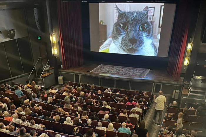 �������� ������� �� �������! ���� ������!