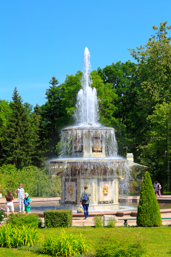 39.  ,  . , . , .-. . XVIII .