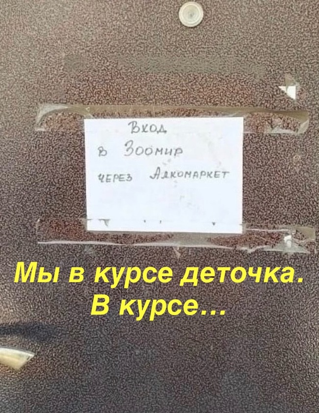 В курсе
