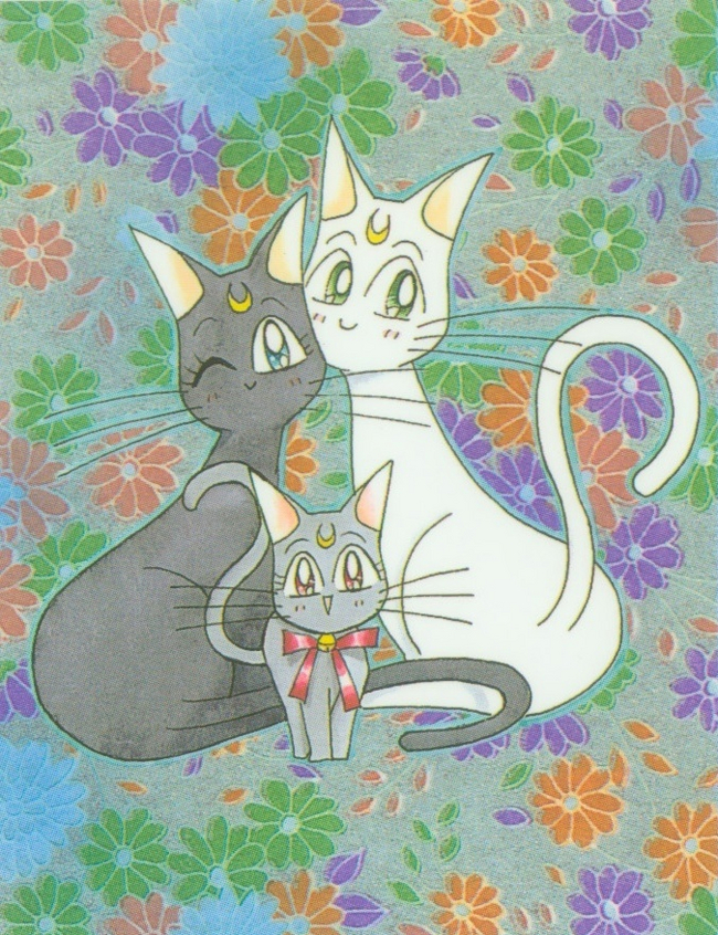     :3 Sailor Moon, Sailor Moon Crystal, Sailor Moon Eternal, , , , , , 