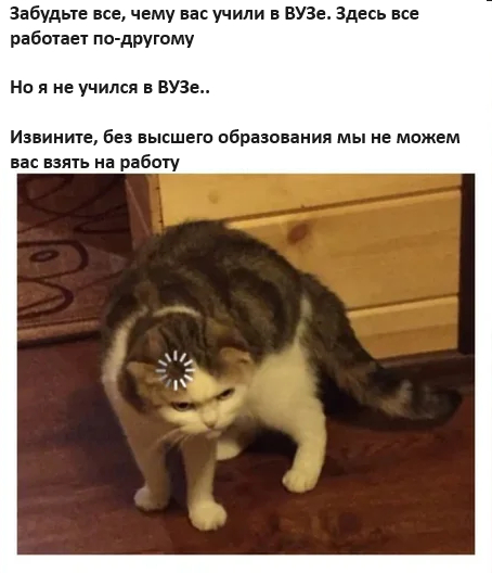 172312385214616087.jpg