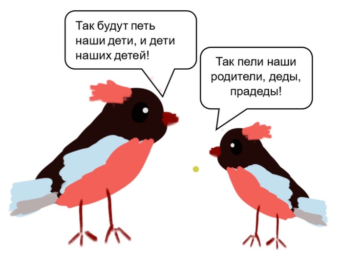    ?  , , , , , , YouTube, 