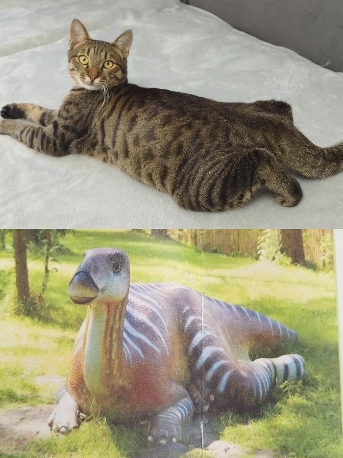  (  ) ,  , 