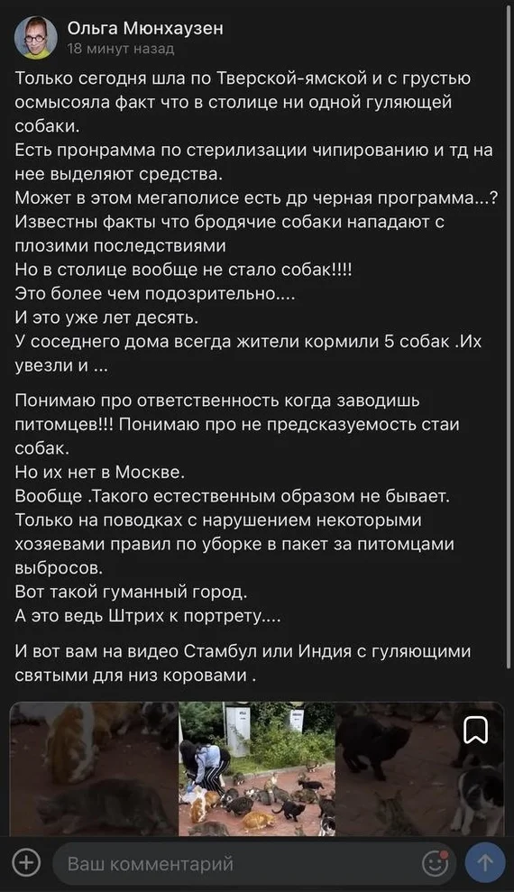 Теперь понятно почему московские «зоозащитники» в регионы лезут бродло спасать - они просто скучают по отсутствию бродячих псов в столице… - Бродячие собаки, Радикальная зоозащита, Россия, ВКонтакте (ссылка), Скриншот