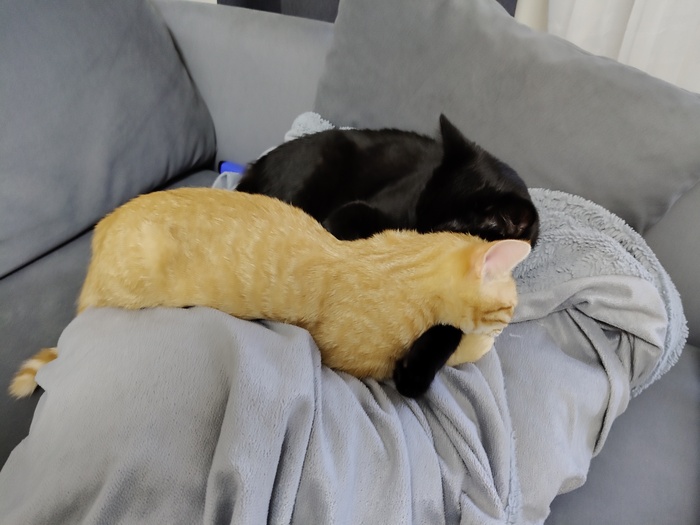 ������� ������