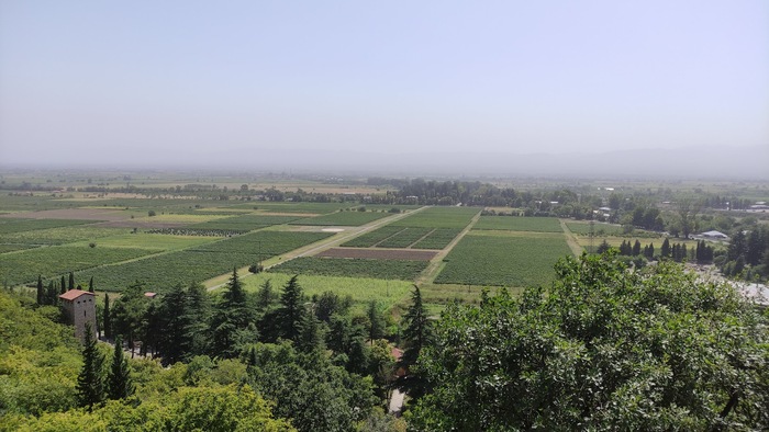 ������������ �������