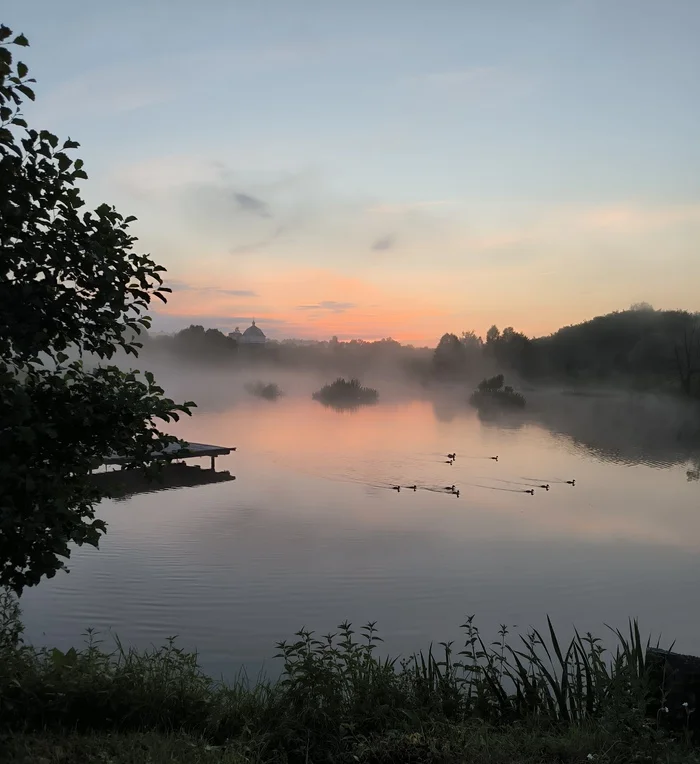 Fog - Nature, Pond, Fog, Art, The photo