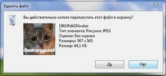 Oops - Suddenly, Error, Text, cat, Screenshot