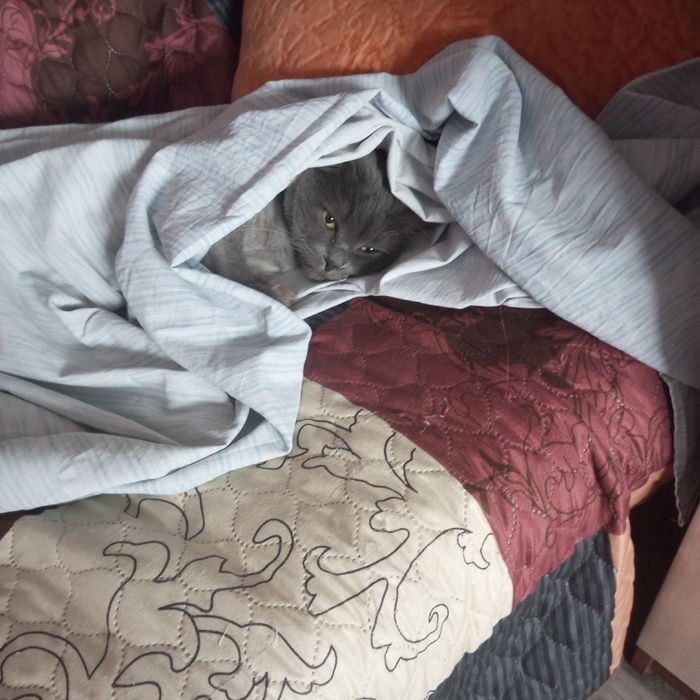 ����� �������