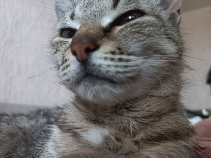 Моя красавица)