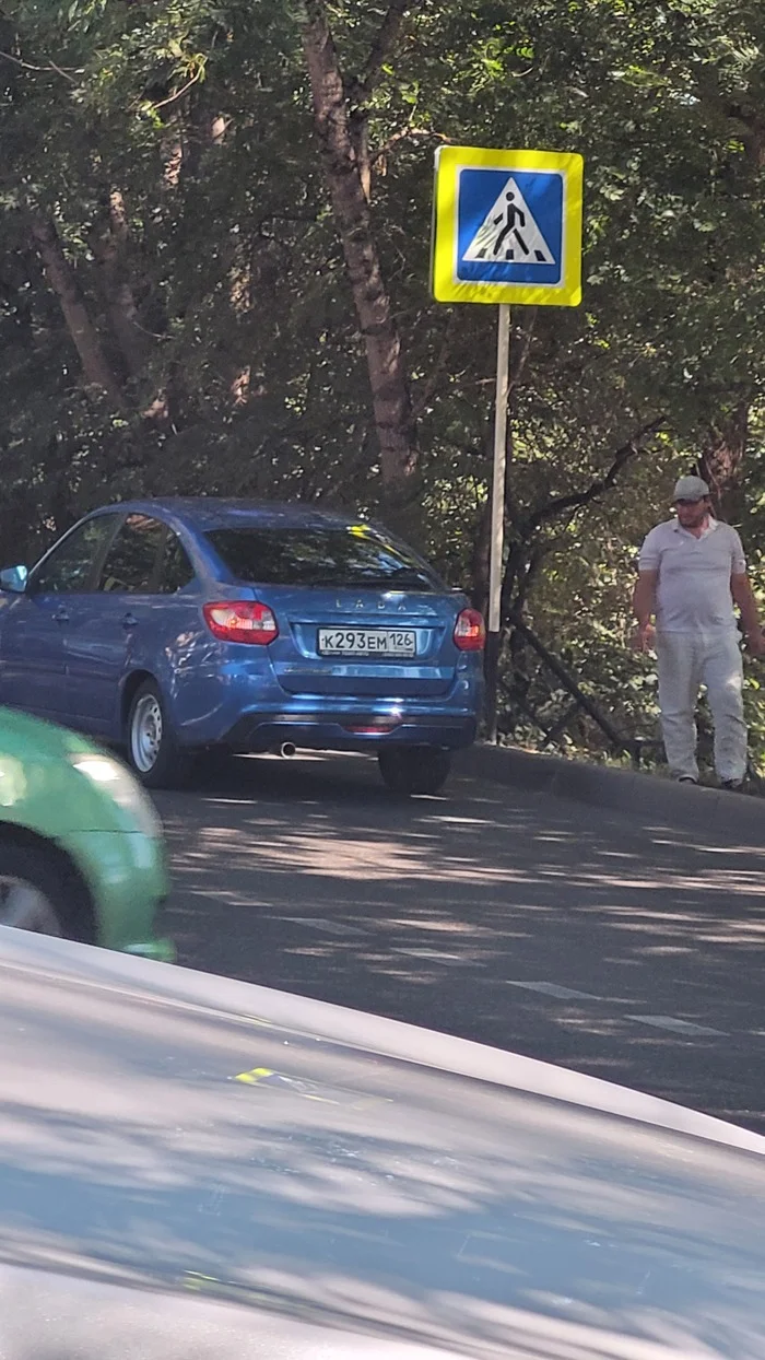 I park like Khachu! - My, Violation of traffic rules, Неправильная парковка, Donkey, Longpost