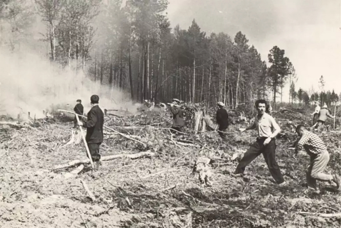 ������ �������� � ������� ������������� ����� � ����. ���� �� ����� ����� ��������, ����� � ����