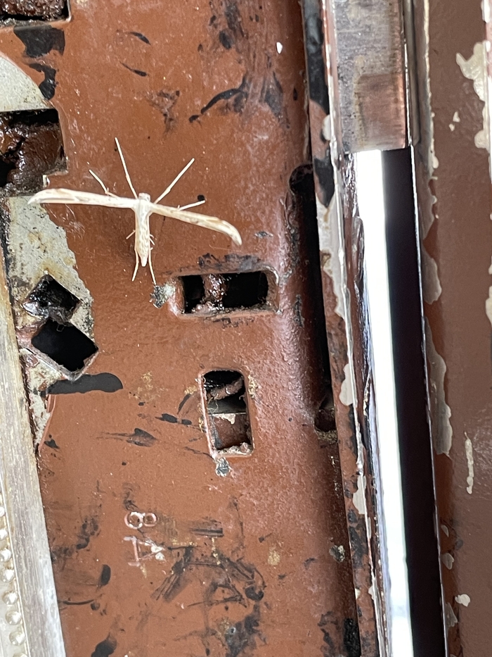   ? , , , , , , 