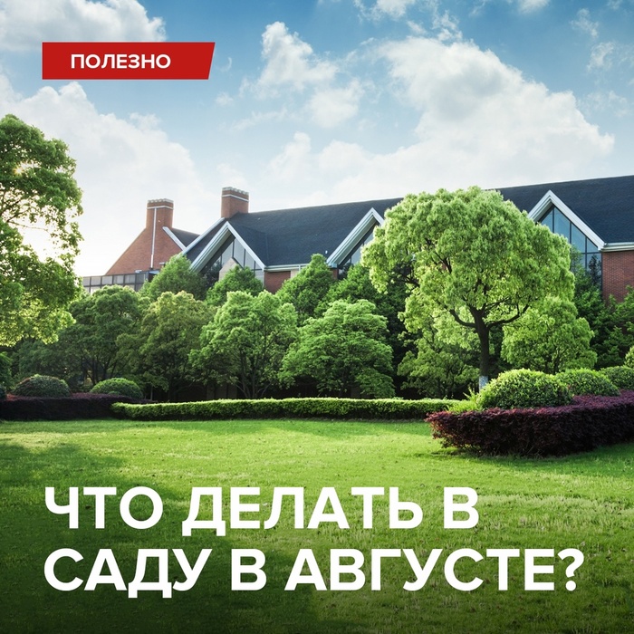     ? , , , , , 