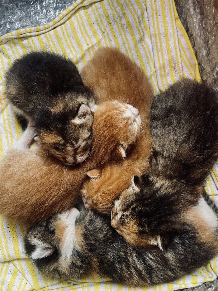 ��������� ����� � ������� :3