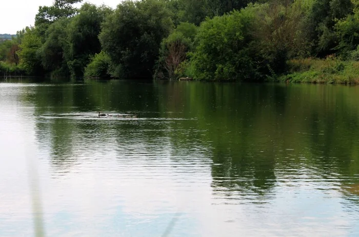 I'll leave you - My, The photo, Landscape, Nature, Pond