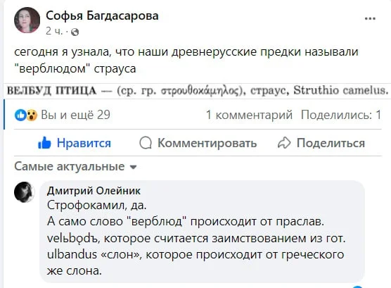 „Если на клетке слона прочтешь надпись «буйвол», не верь глазам своим.“ — Козьма Прутков - Русский язык, Лингвистика, Слова