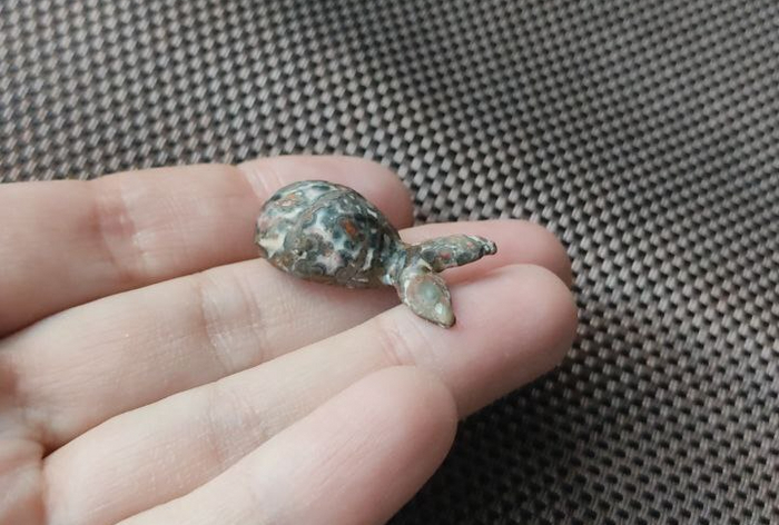 ������������� ���� 