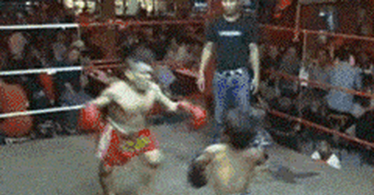 Halfbox - Half box, Boxing, GIF