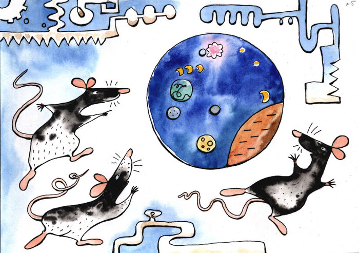 Давайте исследуем чужую планету!