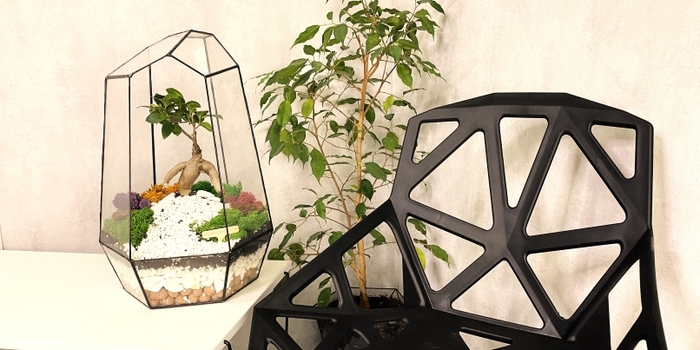 Флорариум с бонсай