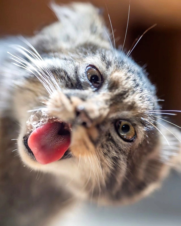 ����������!