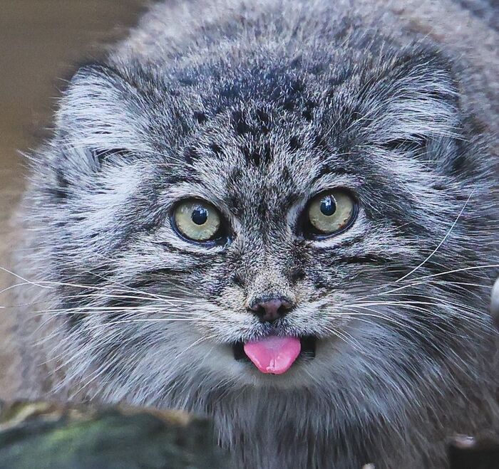 � - �����! � ���� ������� ��?