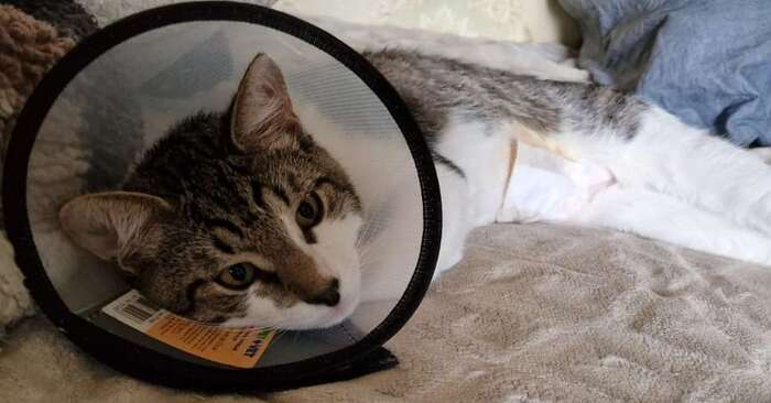 Вот такой несчастный. =(